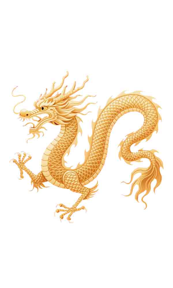 龙