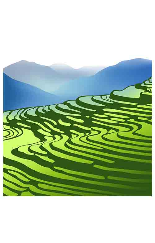 黄色荧光