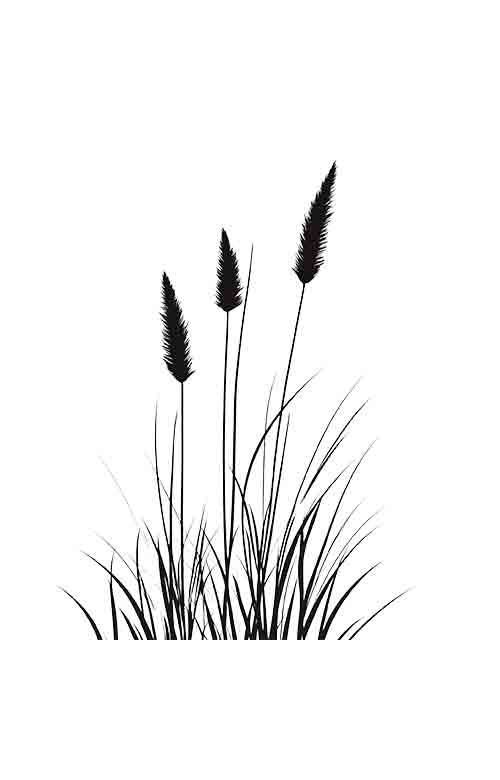 黄色荧光