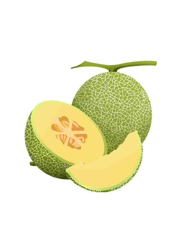 切开的哈密瓜_元素编号13457347