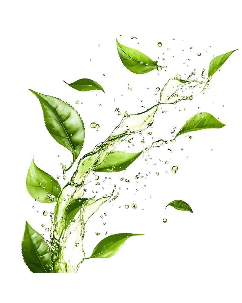 绿茶叶旋转并溅起透明_元素编号15433141