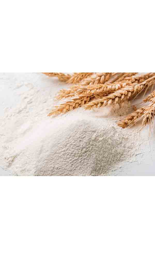 小麦面粉_摄影图编号144847