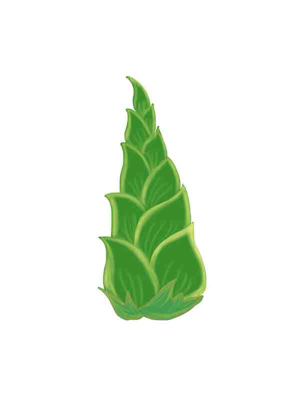 手绘卡通春笋免抠元素_元素编号14391863