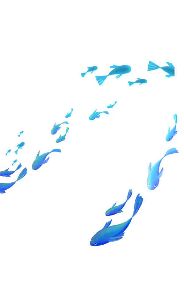 小鱼鱼群_元素编号13153062