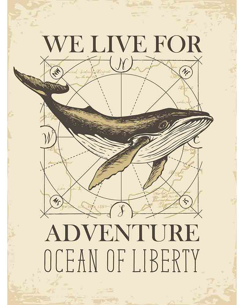 古老的,鲸,巨大的,野生动物,船,动物,复古,旅行