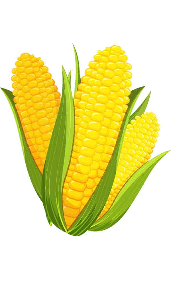 卡通玉米