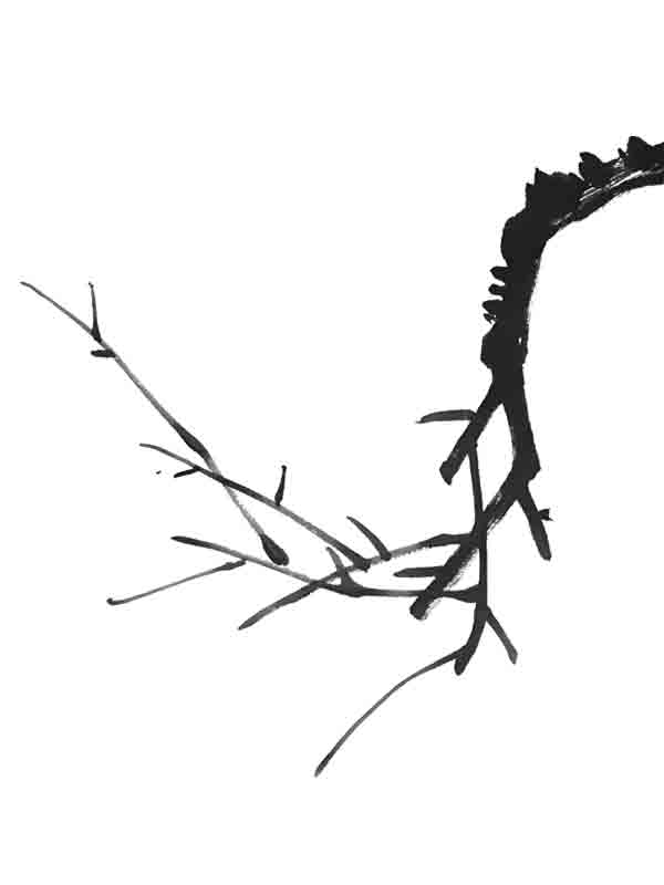 水墨枝叶