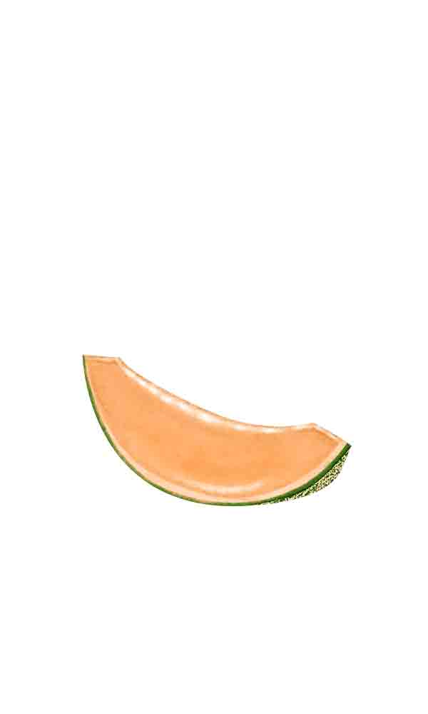 绿色哈密瓜新疆特产水果健康天然食品食物手绘免扣_元素编号11422418