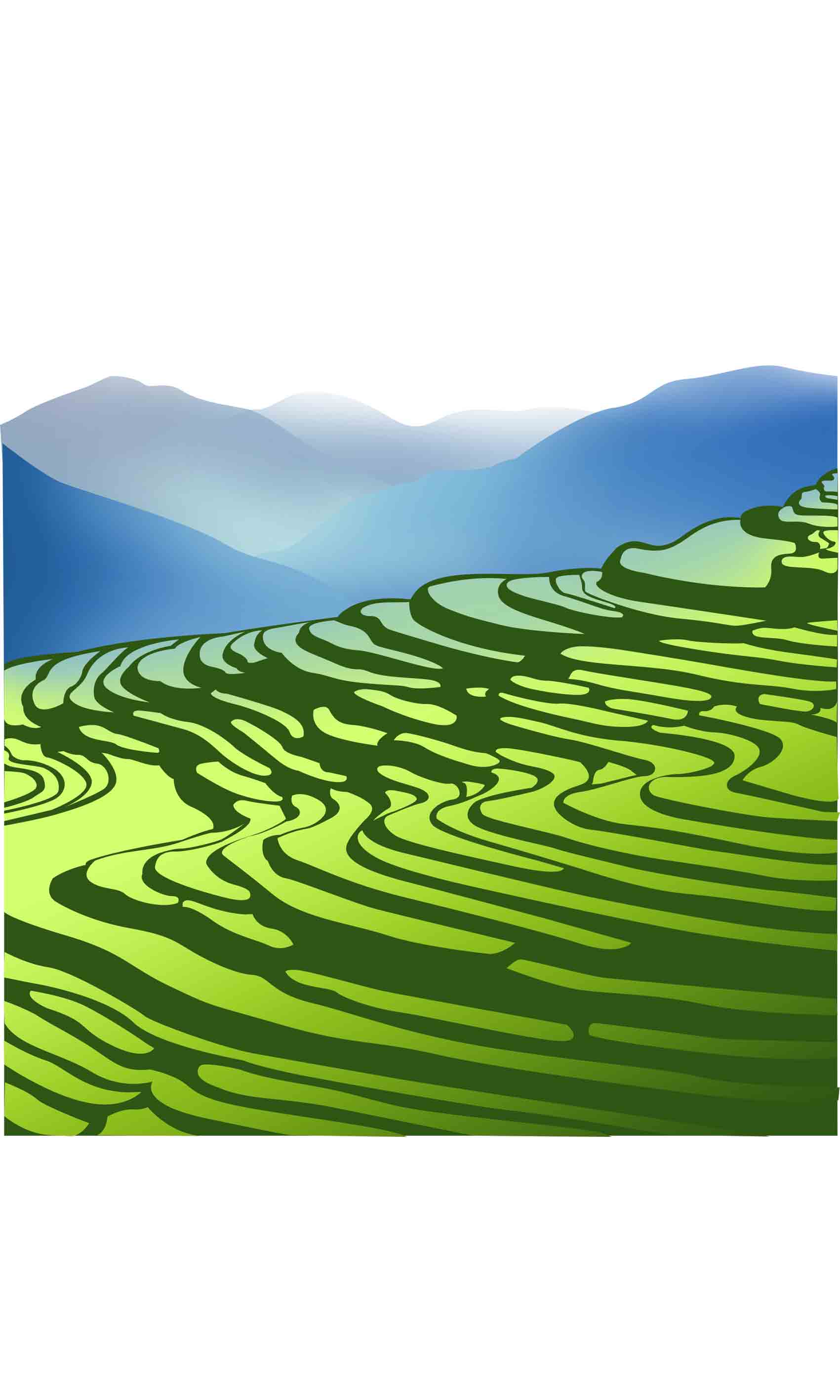 黄色荧光