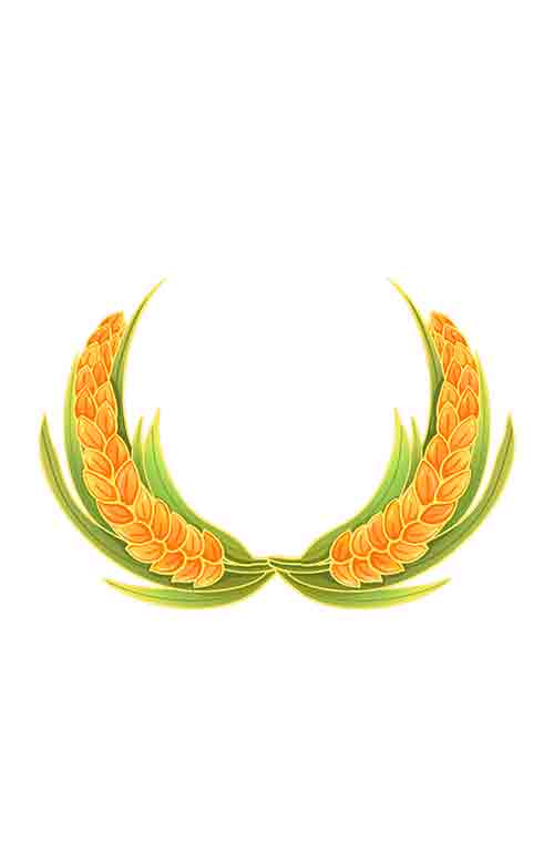 黄色荧光