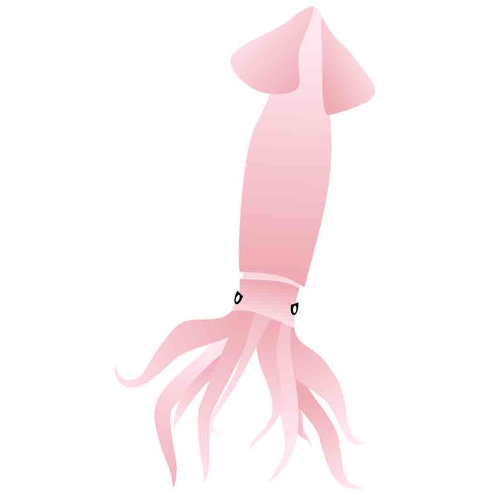 矢量手绘卡通鱿鱼_元素编号11796227