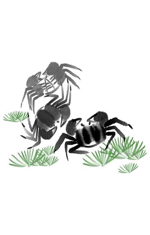 黄色荧光