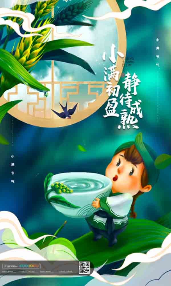 19725248时尚大气中国风小满节气宣传海报