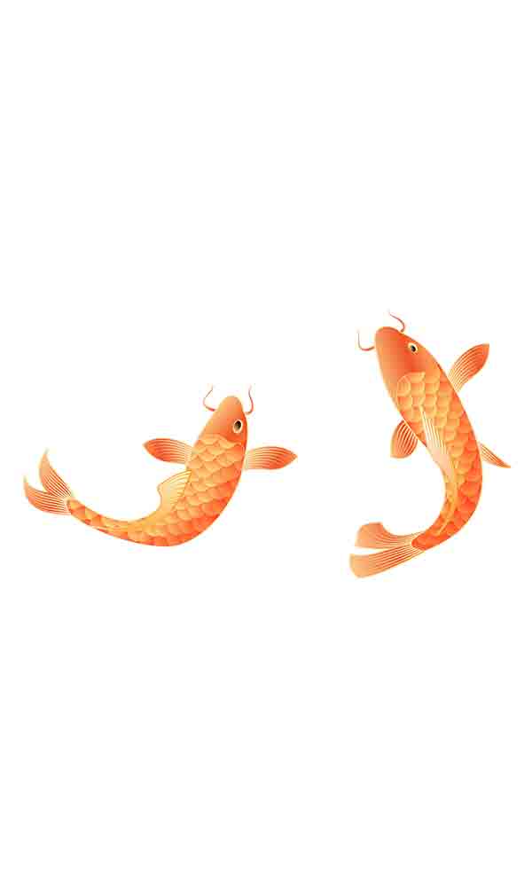 金色金鱼_元素编号12921585