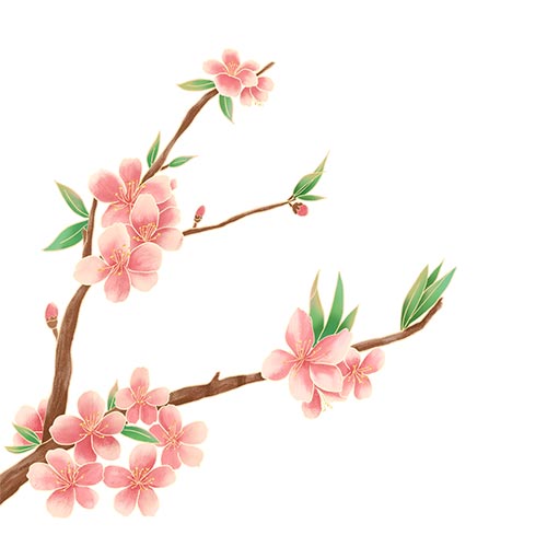 黄色荧光