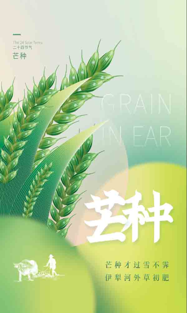 二十四节气芒种绿色麦子耕地农民淡绿小清新海报_模板编号5360465